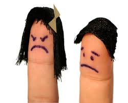 Haldimand Wind Project Complaint Information Sheet