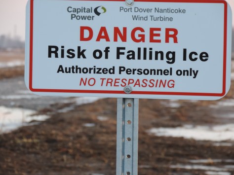 DSCN1366 Linda picture