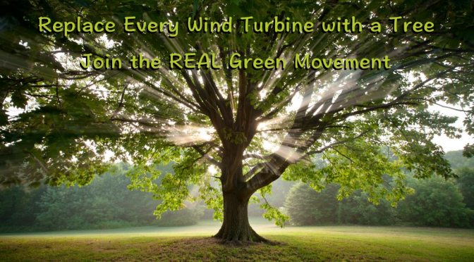 Research by CERN Indicates Trees and CO2 Help Keep the Earth in Balance