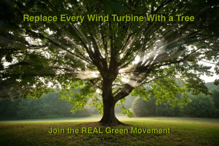 Real Green Movement