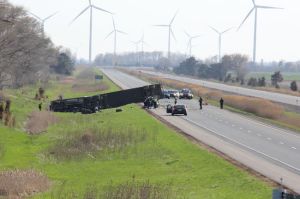 1297559146524_ORIGINAL