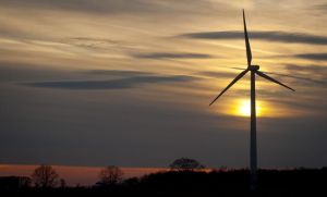 1331173896981_ORIGINAL