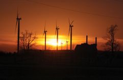 1297381360911_ORIGINAL