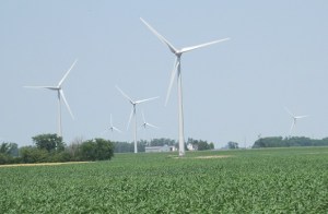 Wind-Turbines-and-cornfield-2