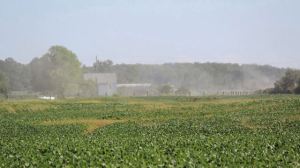 Dust is seen spreading from the construction site of one of 77 wind turbines that make up the Niagara Region Wind Farm.