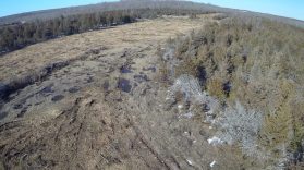 prince edward county destruction