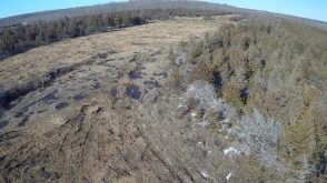 prince edward county destruction