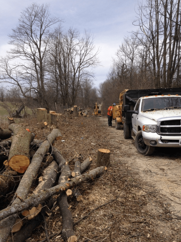 WPD Wild Turkey Road