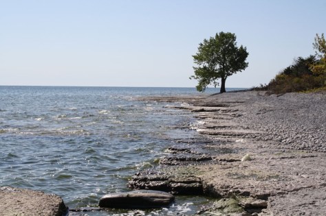 ostrander point shore