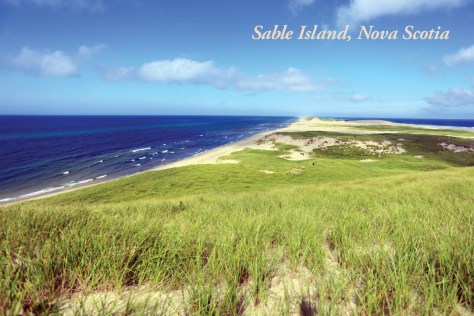 SableIsland postcards2.indd