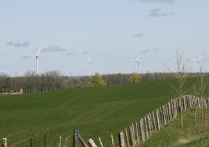 WCO_CarlowCluster_1078-crop