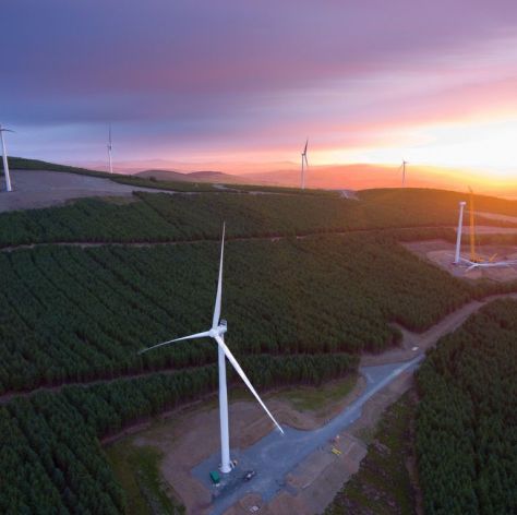 20374729_1884669245118768_262185767949666106_n