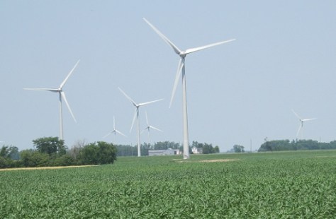 Wind-Turbines-and-cornfield-2