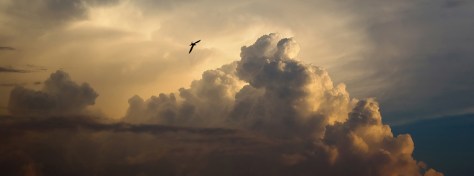 Sky-vista_iiiphevgeniy_Shutterstock