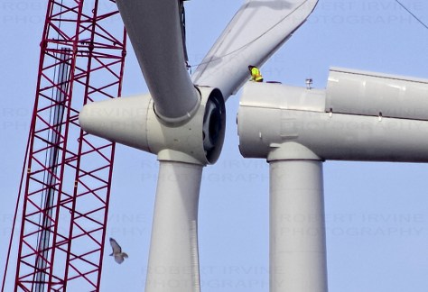 hawk-turbine-haldimand-109_v1-cr