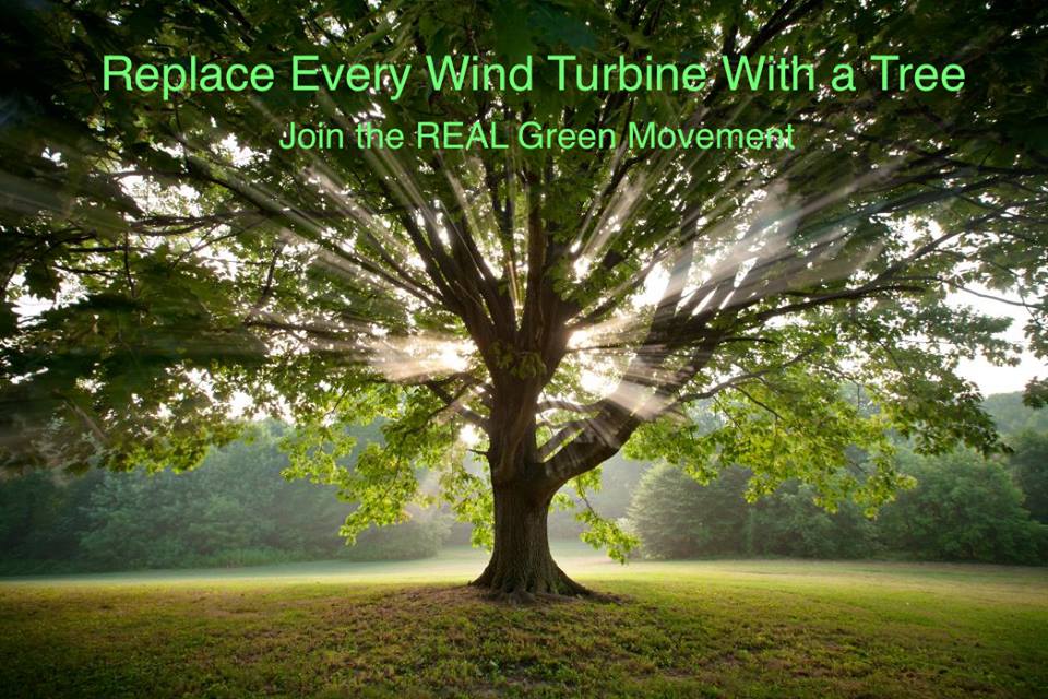 trees not wind turbines