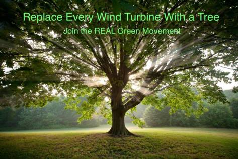 trees not wind turbines