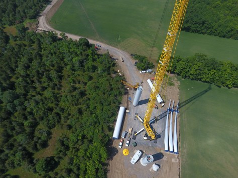 white pine site activity.jpg