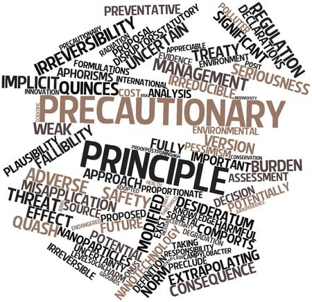 precautionary principle word map